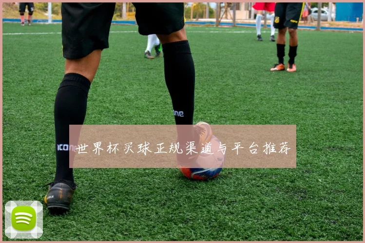 世界杯买球正规渠道与平台推荐
