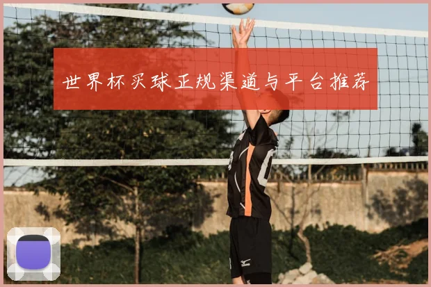 世界杯买球正规渠道与平台推荐