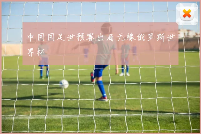 中国国足世预赛出局无缘俄罗斯世界杯