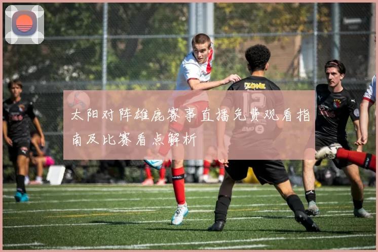 太阳对阵雄鹿赛事直播免费观看指南及比赛看点解析
